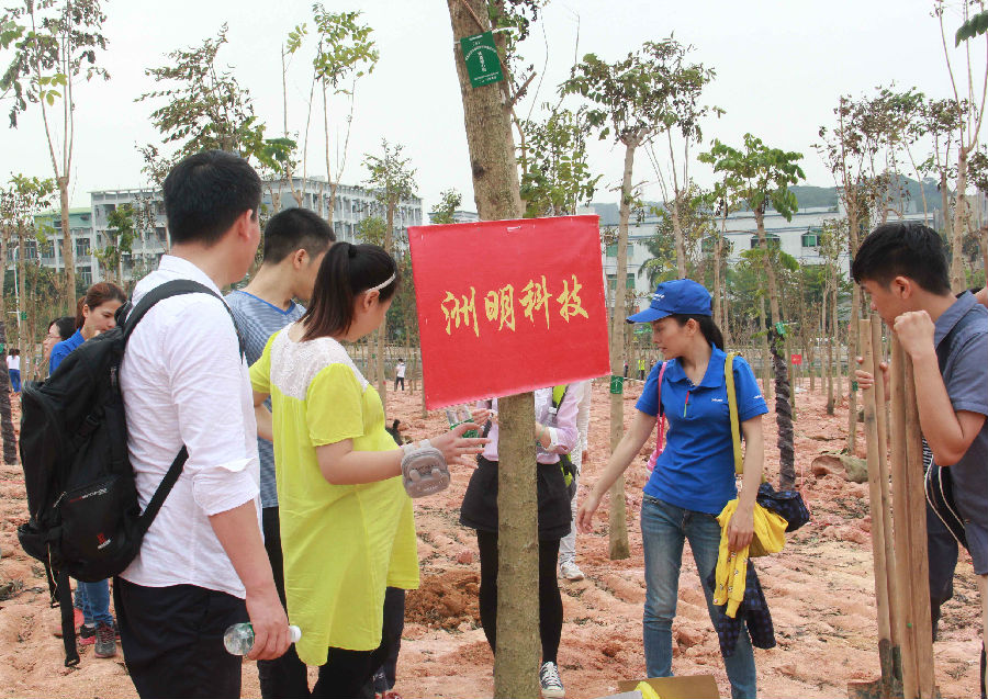 K8凯发科技植树